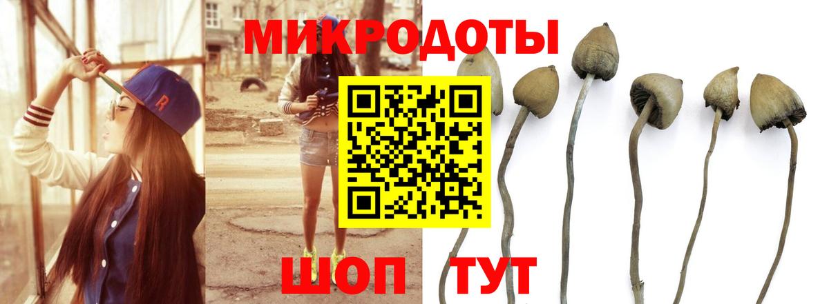 Псилоцибиновые грибы Psilocybe  Галлюциногенные грибы мицелий  купить закладку  Вход с VPN  Советская Гавань 